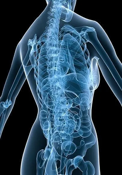 La imagen 5 de la Empresa UNIDAD MÚSCULO ESQUELÉTICA