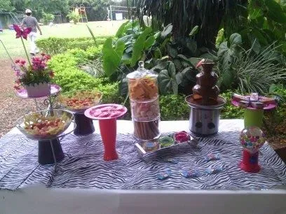 La imagen 20 de la Empresa CAROLINA NIÑO EVENTOS Y RECREACIONES