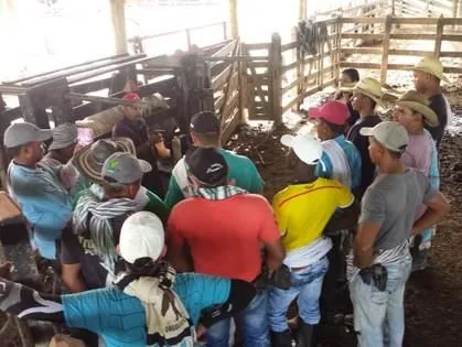 La imagen 4 de la Empresa GENÉTICA SELECTA