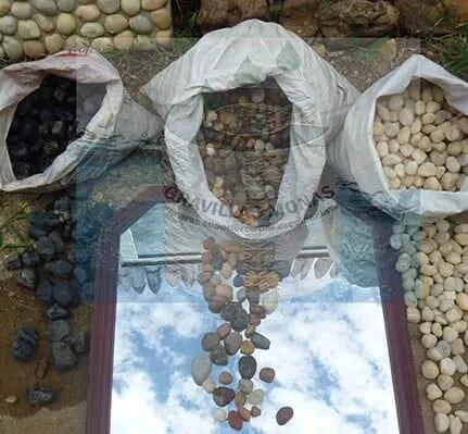 La imagen 2 de la Empresa GRAVILLAS MONAS