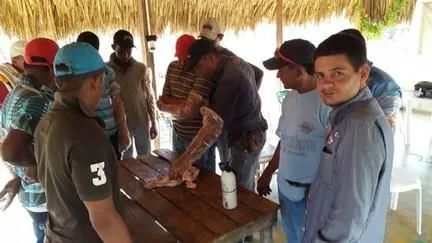 La imagen 5 de la Empresa GENÉTICA SELECTA