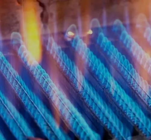 La imagen 3 de la Empresa NATURGAS