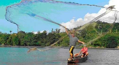 La imagen 2 de la Empresa REDEPESCA
