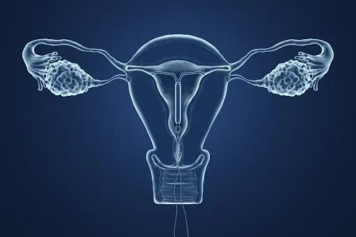 La imagen 3 de la Empresa DR. JOSÉ CANTILLO