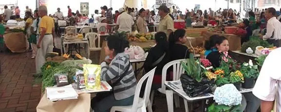 La imagen 4 de la Empresa FUNDECIMA