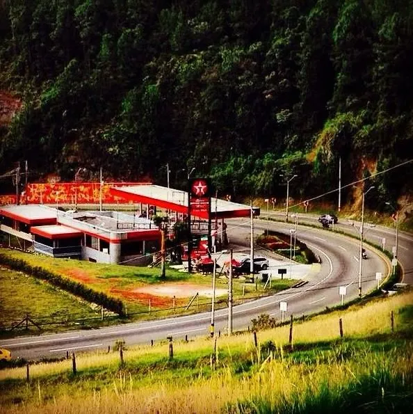 La imagen 3 de la Empresa DOLPHINS PLUS ESTRELLA DE ORIENTE