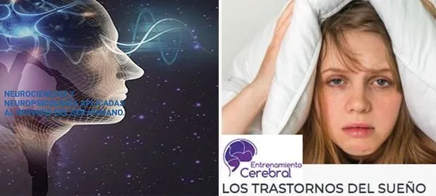 La imagen 5 de la Empresa ENTRENAMIENTO CEREBRAL