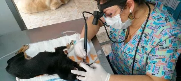 La imagen 1 de la Empresa BALCAZAR MUÑOZ MARIA ALEJANDRA