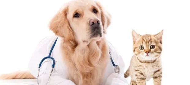 La imagen 2 de la Empresa BALCAZAR MUÑOZ MARIA ALEJANDRA