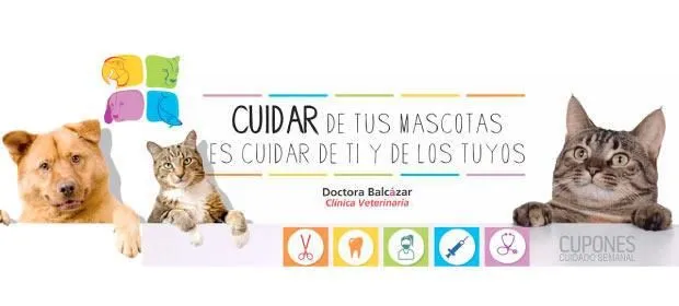 La imagen 3 de la Empresa BALCAZAR MUÑOZ MARIA ALEJANDRA