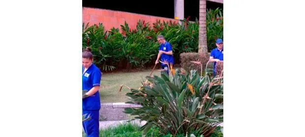 La imagen 4 de la Empresa SERVICIOS INTEGRALES MANOS ACTIVAS S.A.S.