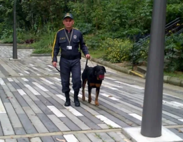 La imagen 5 de la Empresa SEGURIDAD LAS AMÉRICAS LTDA