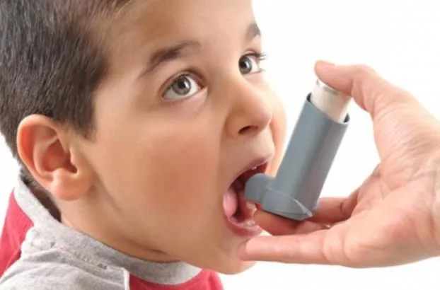 La imagen 5 de la Empresa CLINICA DEL ASMA SANTA CLARA