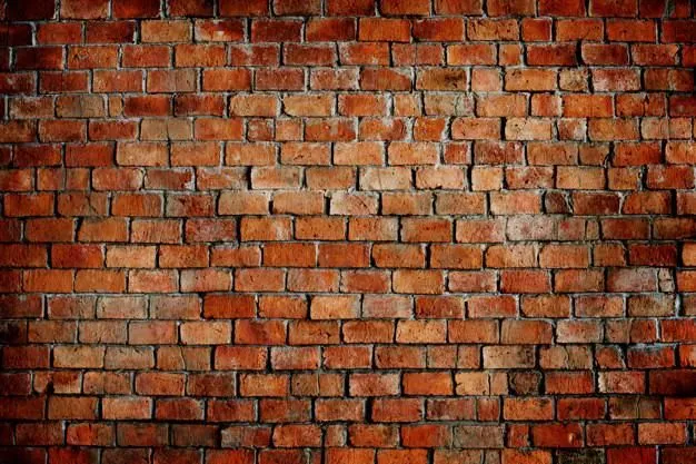 La imagen 2 de la Empresa PRELASELVA O.B S.A.S