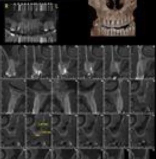La imagen 3 de la Empresa RADIOLOGIA ORAL CRA SAS