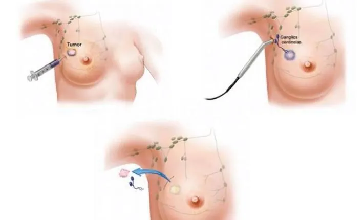 La imagen 4 de la Empresa MEDICINA FETAL