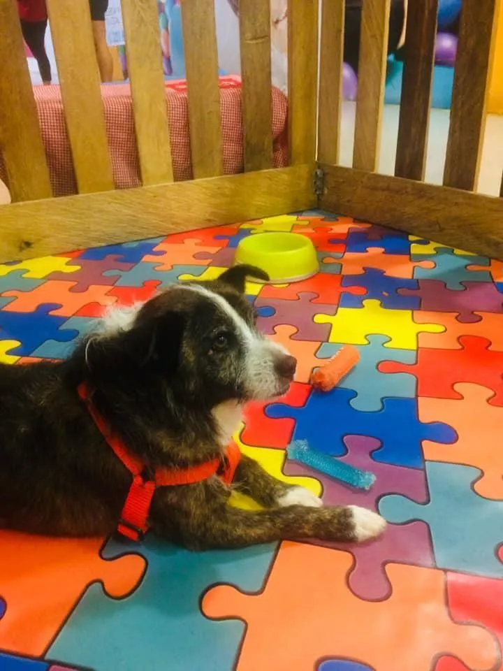 La imagen 2 de la Empresa AVENTURA CENTRO COMERCIAL