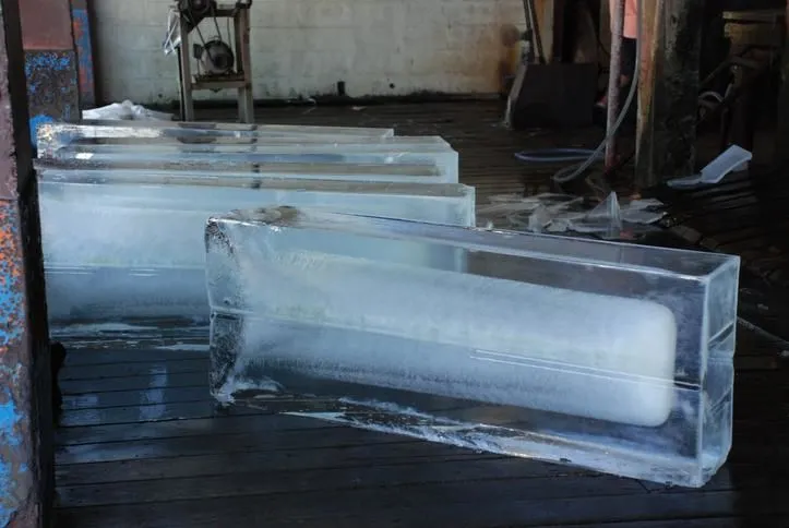 La imagen 1 de la Empresa HIELO POLARES