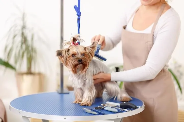La imagen 5 de la Empresa A DOMICILIO VETERINARIOS