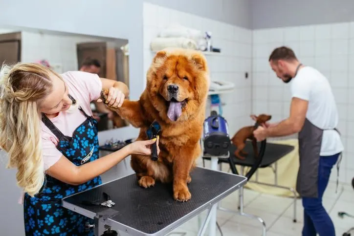 La imagen 5 de la Empresa CENTRO VETERINARIO HIRCANES
