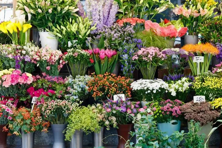 La imagen 4 de la Empresa EL PALACIO DE LAS HIERBAS Y LAS FLORES