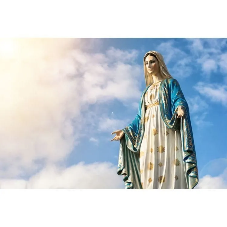 La imagen 4 de la Empresa ALMACÉN LA BASÍLICA