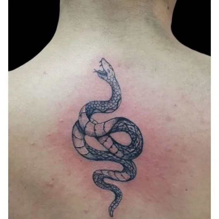 La imagen 3 de la Empresa CONEJO INK