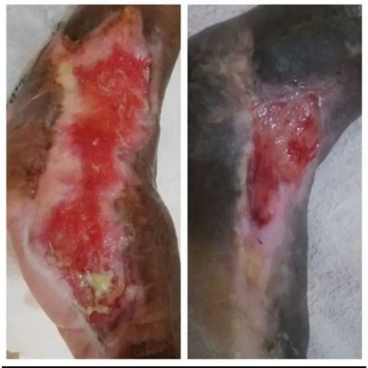 La imagen 4 de la Empresa CUIDAR SALUD IPS