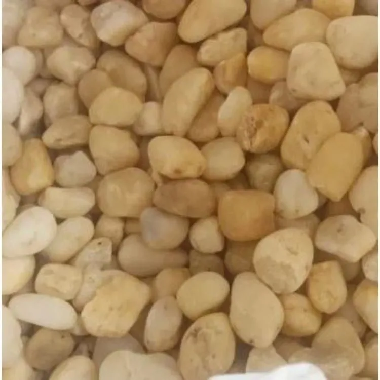 La imagen 10 de la Empresa GRAVILLAS MONAS