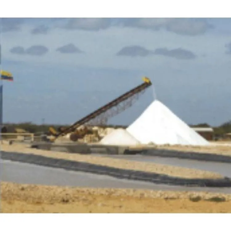 La imagen 1 de la Empresa INDUSALCA SAS