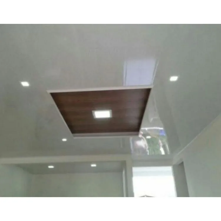 La imagen 2 de la Empresa TECHOS WILPVC