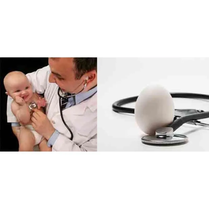 La imagen 2 de la Empresa CONCEVIDAS