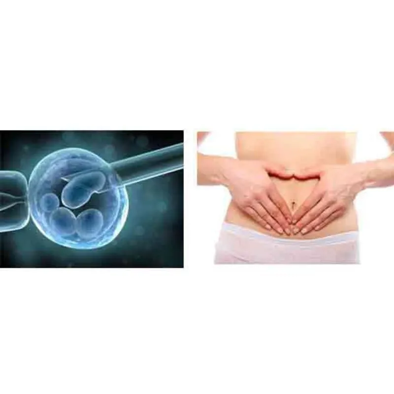 La imagen 4 de la Empresa CONCEVIDAS