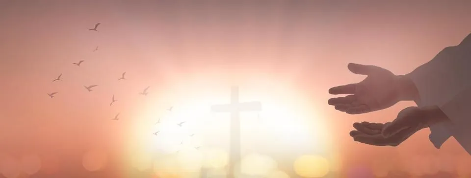 La imagen 4 de la Empresa FUNDACIÓN PARA LA PAZ Y LA RECONCILIACIÓN EL BUEN PASTOR FELIZ