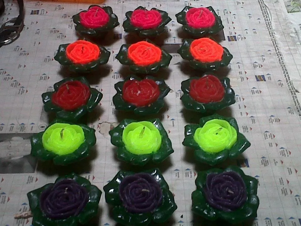 La imagen 4 de la Empresa ESPERMAS SANTA SOFÍA S.A.S.