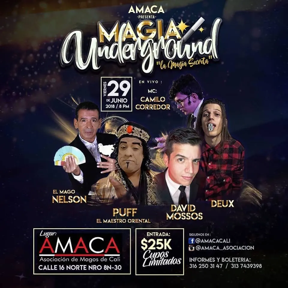 La imagen 2 de la Empresa MAGO NELSON