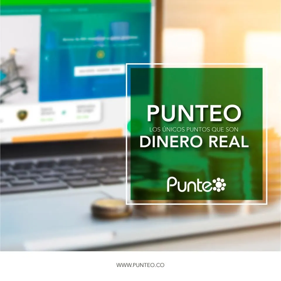 La imagen 2 de la Empresa PUNTEO ONLINE