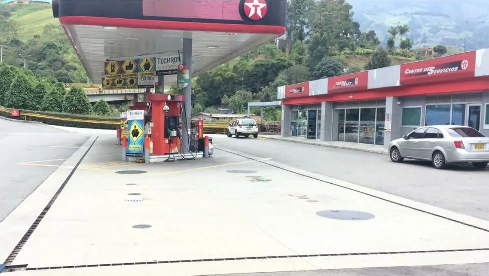 La imagen 1 de la Empresa DOLPHINS PLUS ESTRELLA DE ORIENTE