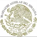 MARIACHI AGUILAS DEL SINALOA Músico en Tunja BOY