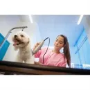 CENTRO VETERINARIO HIRCANES Veterinario en Cali VAC