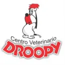 CENTRO VETERINARIO DROOPY Veterinario en Medellín ANT