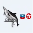 DOLPHINS PLUS ESTRELLA DE ORIENTE Tienda de repuestos para automóviles en Medellín ANT