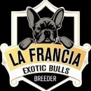 LA FRANCIA EXOTIC BULLS Tienda para mascotas en Medellín ANT