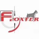 FOXTER Tienda de repuestos para automóviles en Bogotá, D.c. DC
