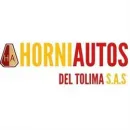 HORNIAUTOS DEL TOLIMA S.A.S Taller de reparación de automóviles en Ibagué TOL