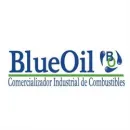 BLUE OIL SAS Tienda de repuestos para automóviles en Bogotá CUN